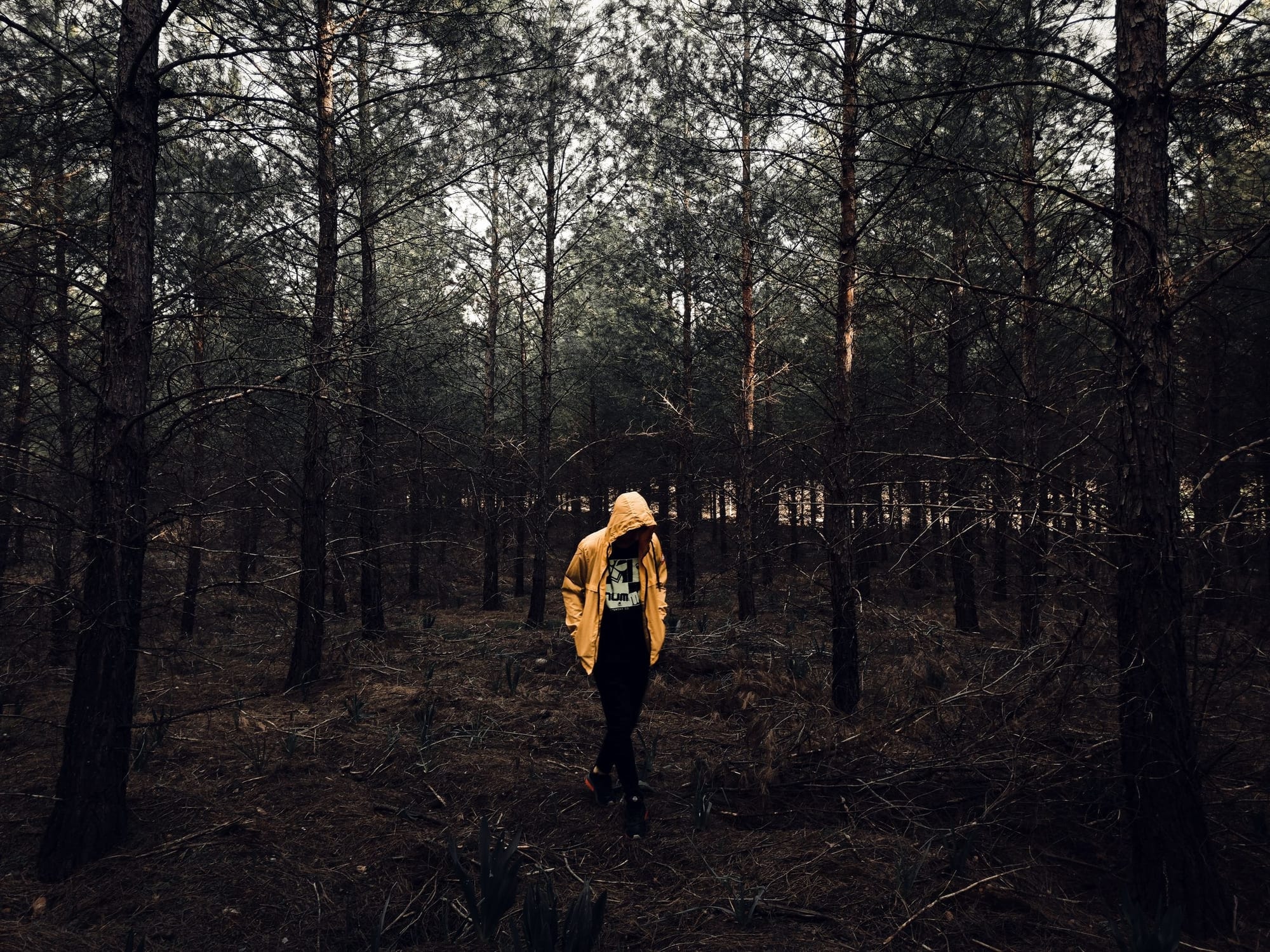Person som promenerar i skogen