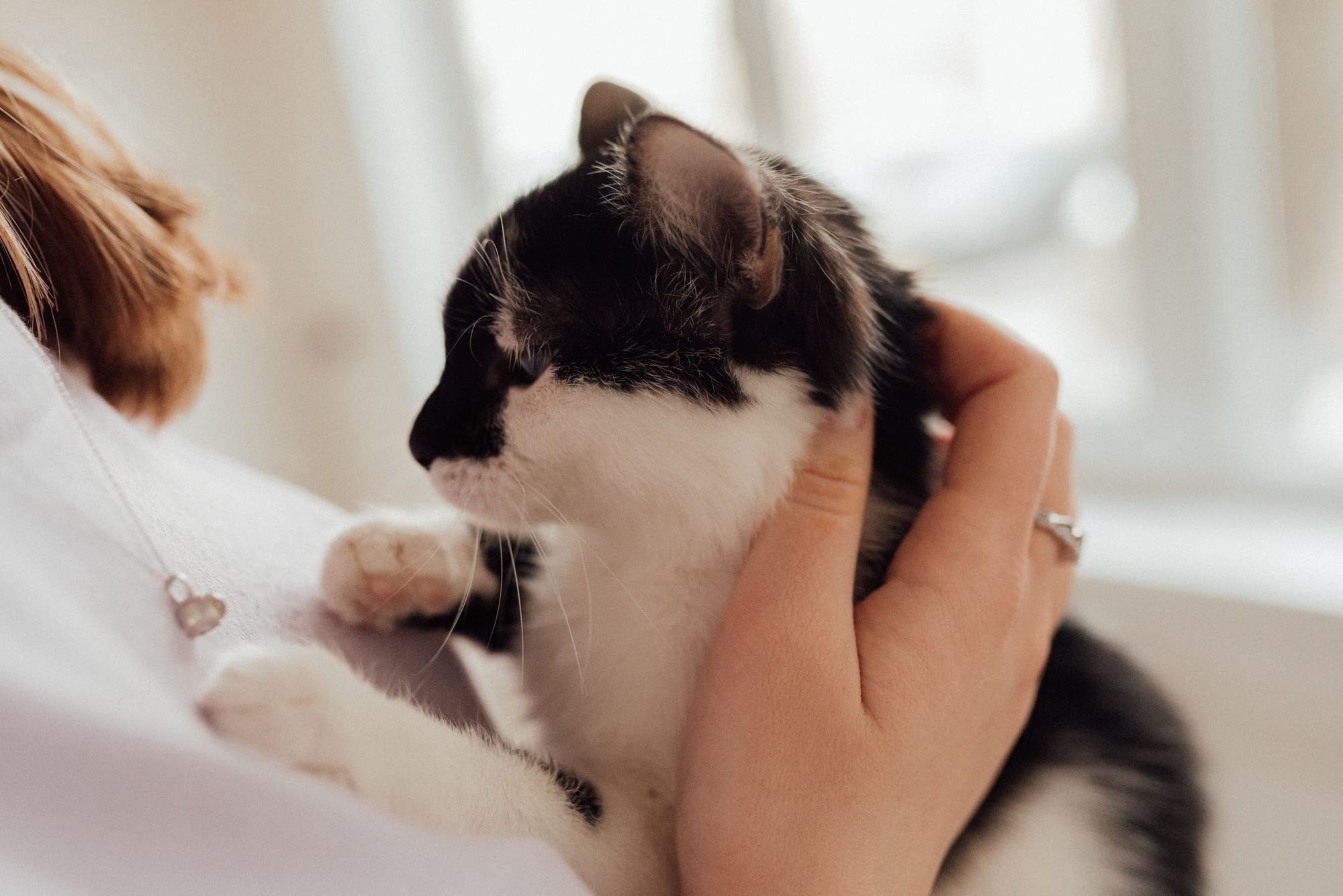 Person som gosar med en katt