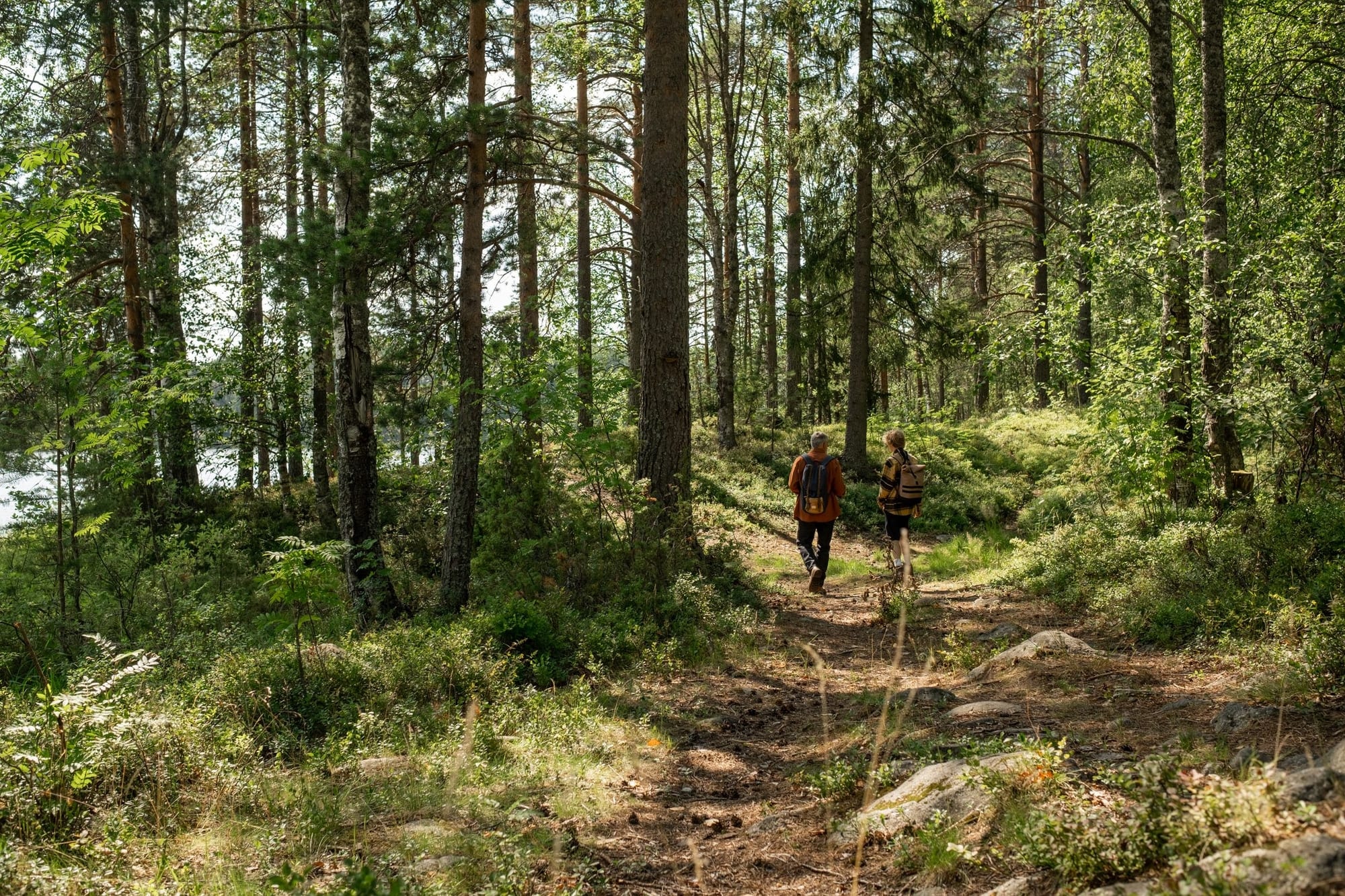 Familj som vandrar i skogen